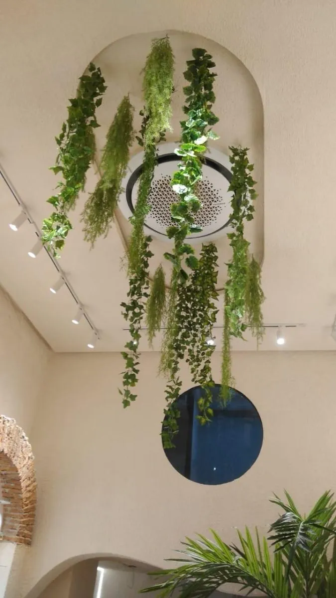 Cassette 360 circular entre jardines colgantes